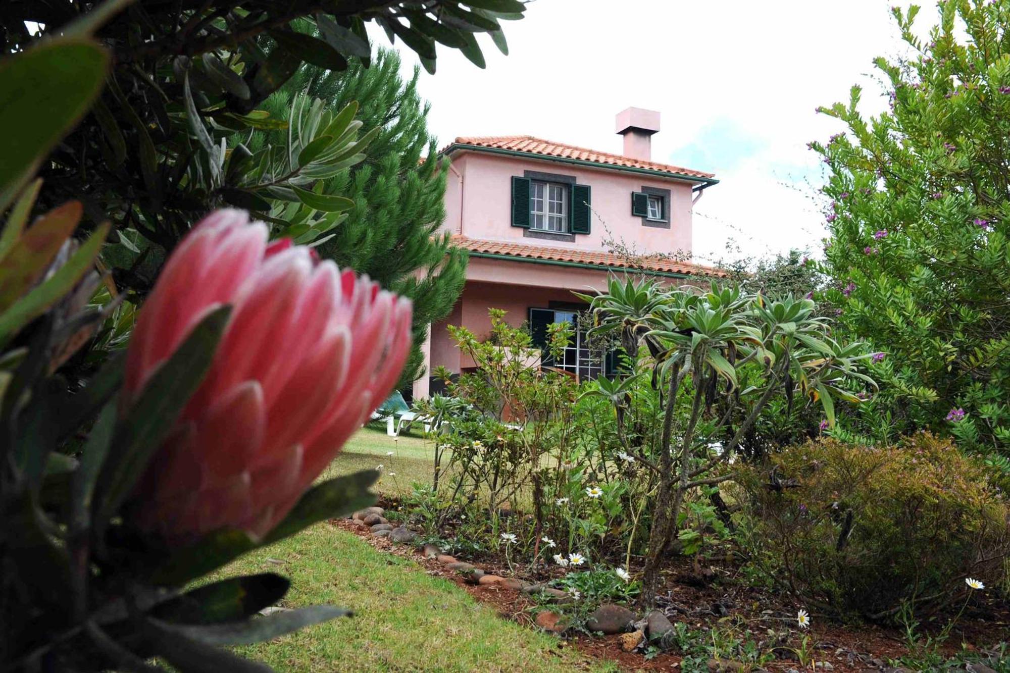 Quinta Santo Antonio Da Serra المظهر الخارجي الصورة