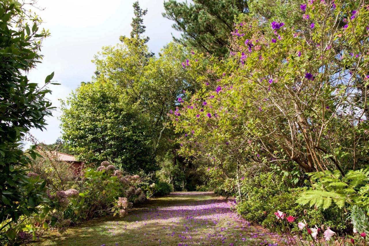 Quinta Santo Antonio Da Serra المظهر الخارجي الصورة